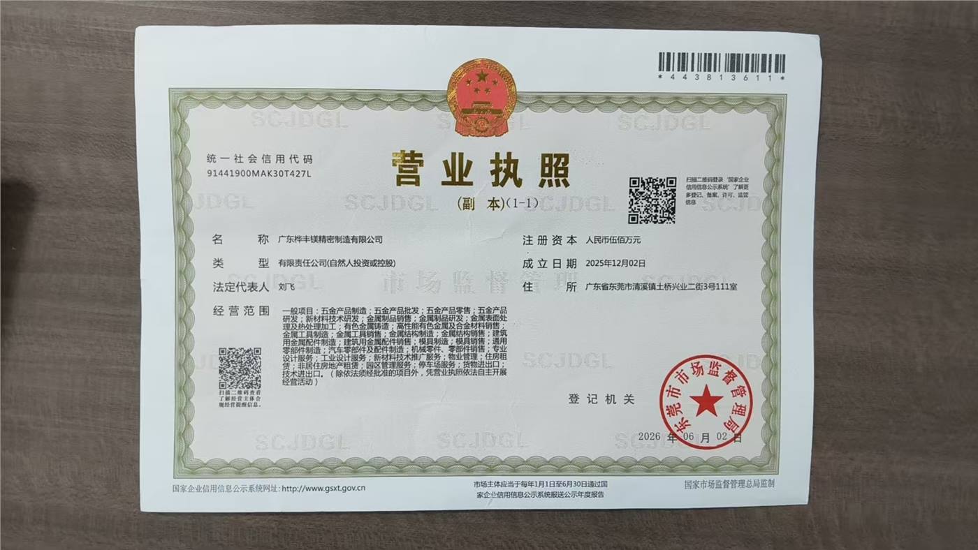 广东桦丰镁精密制造有限公司营业执照